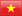IT services Vietnamese